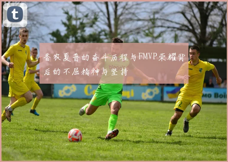 香农夏普的奋斗历程与FMVP荣耀背后的不屈精神与坚持